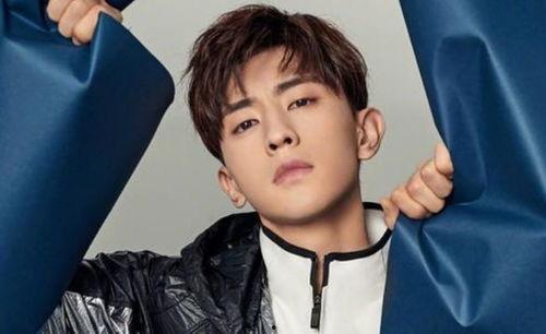 吃瓜鹅娱乐速报肖战,吃瓜鹅娱乐速报，揭秘明星背后的故事